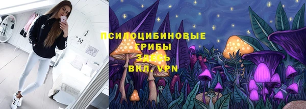 скорость Горно-Алтайск