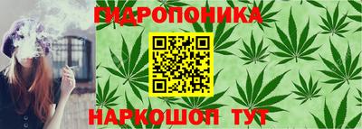 ГАЛЛЮЦИНОГЕННЫЕ ГРИБЫ Малоярославец