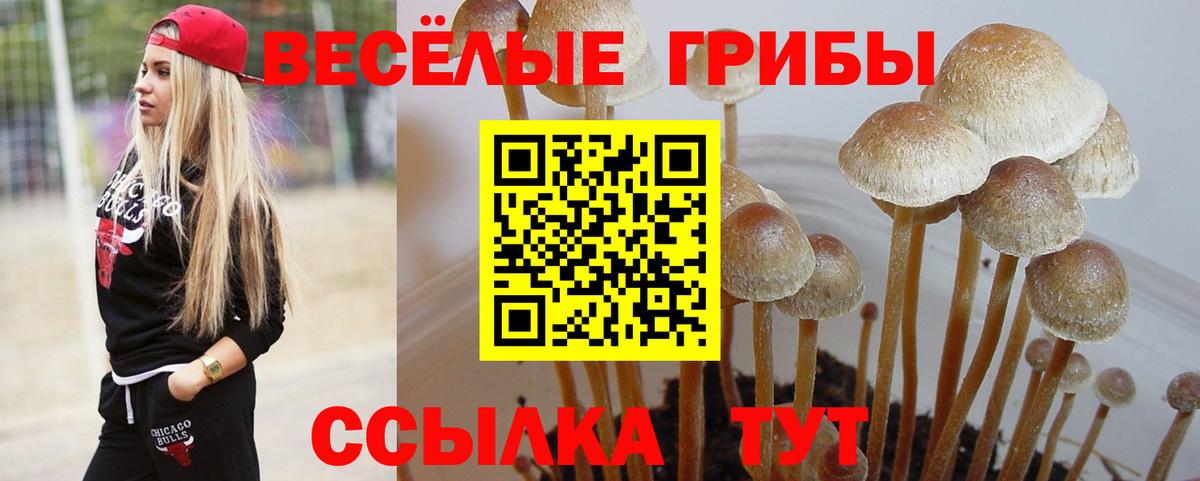 Галлюциногенные грибы мицелий  Вход с VPN  Грязи 
